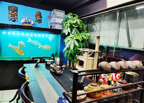 青岛招聘驻店纹身师