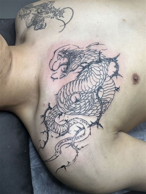 江苏苏州区域求职