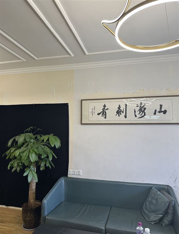 南充 重庆。走量店招成手纹身师