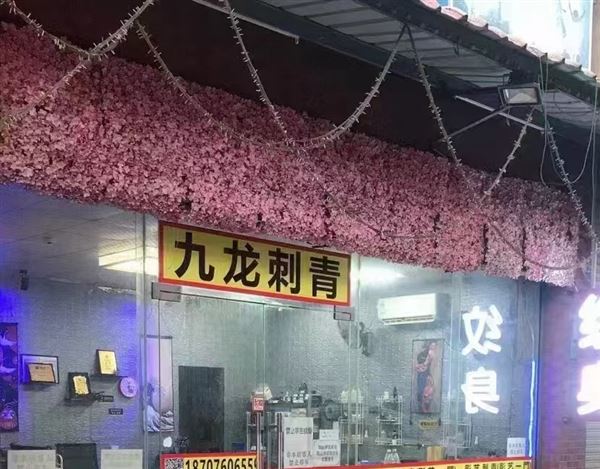 广东省中山市小榄镇泰丰市场九龙纹身