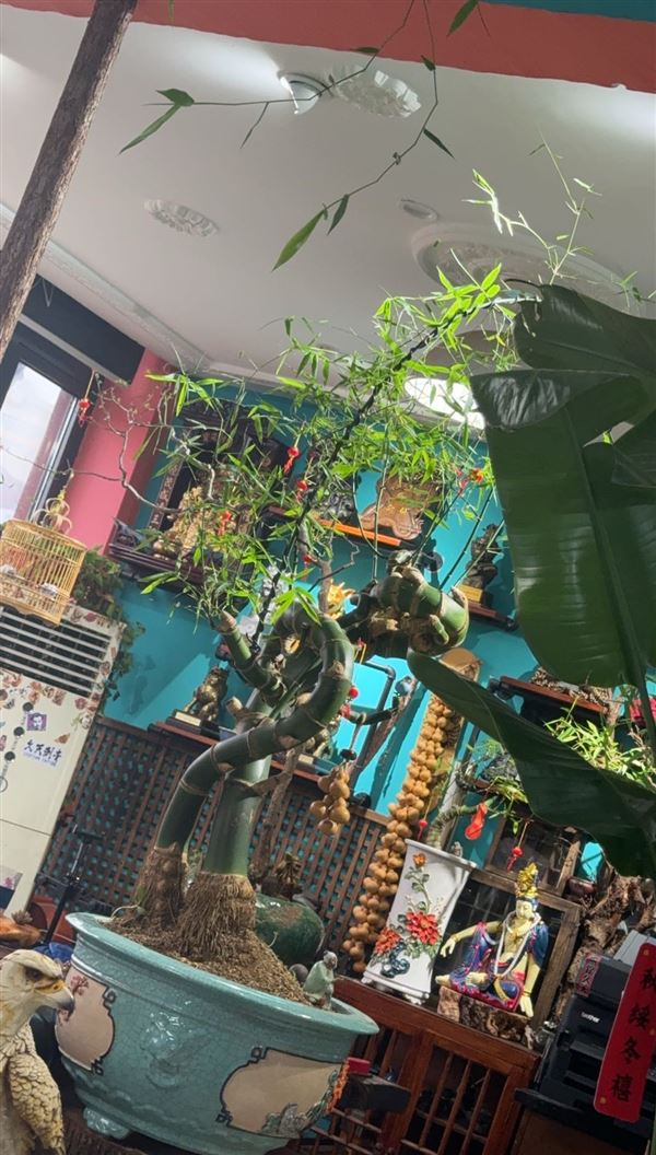 无锡招纹身师