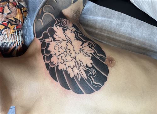 10年工作经验，六边形战士。全风格独立接客