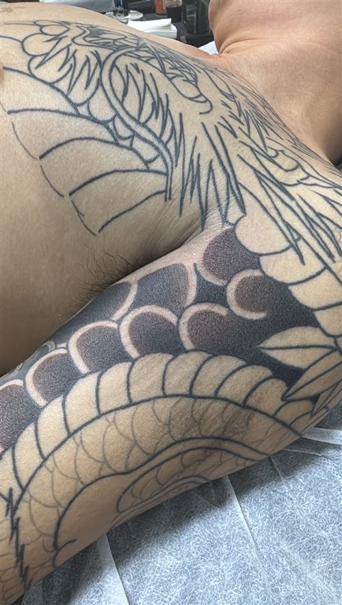南宁招模特半甲